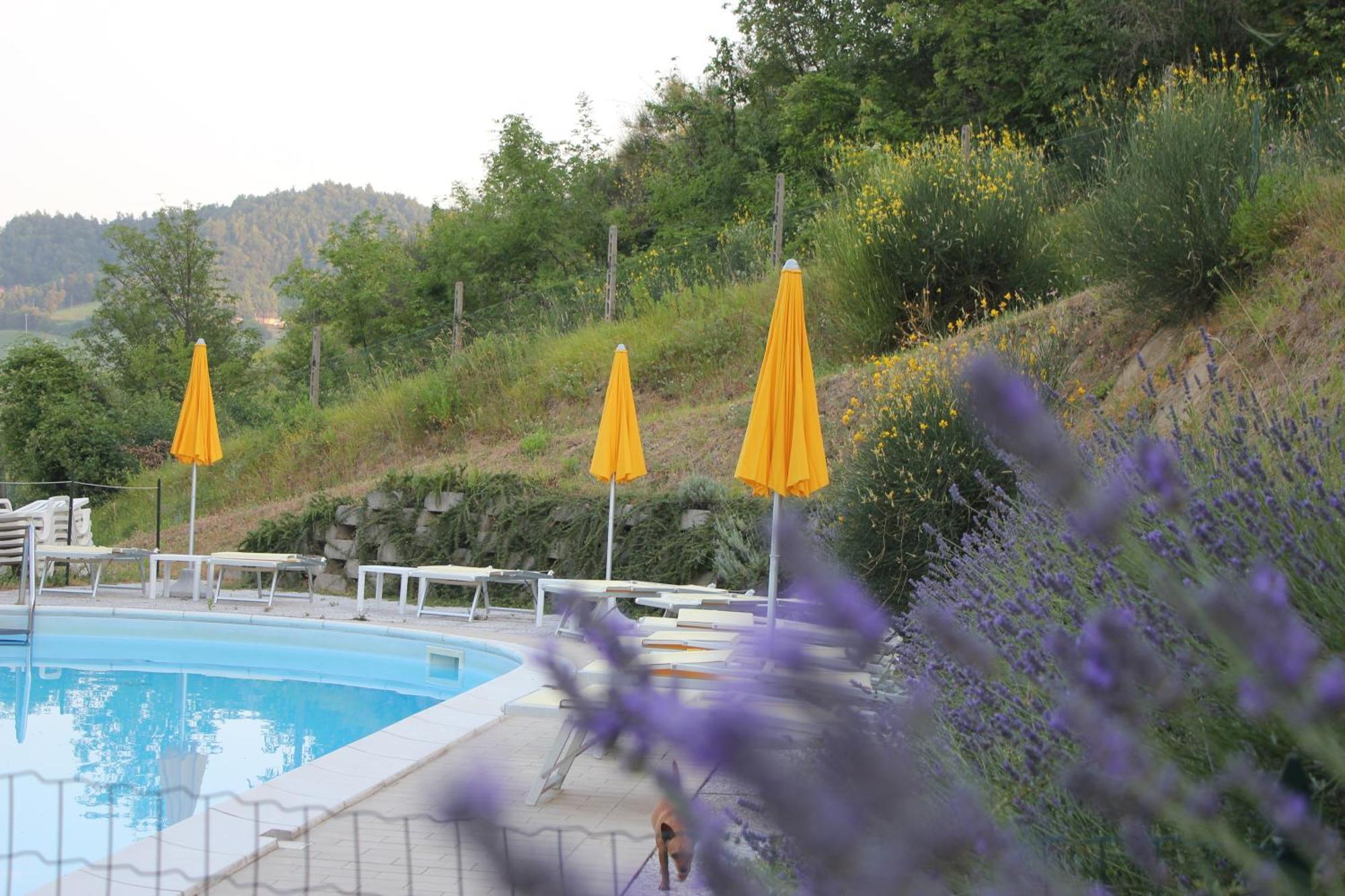 Agriturismo La Valle Del Vento Urbino Luaran gambar