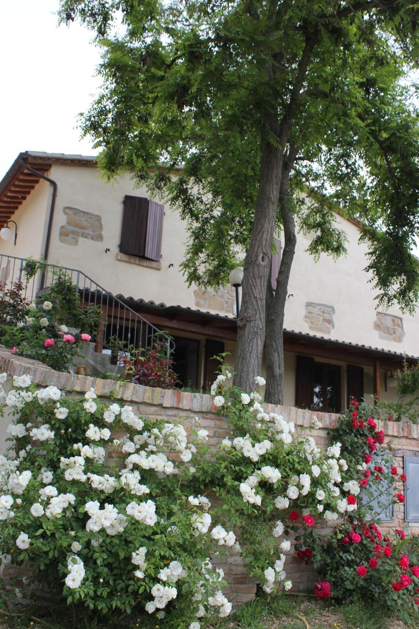 Agriturismo La Valle Del Vento Urbino Luaran gambar