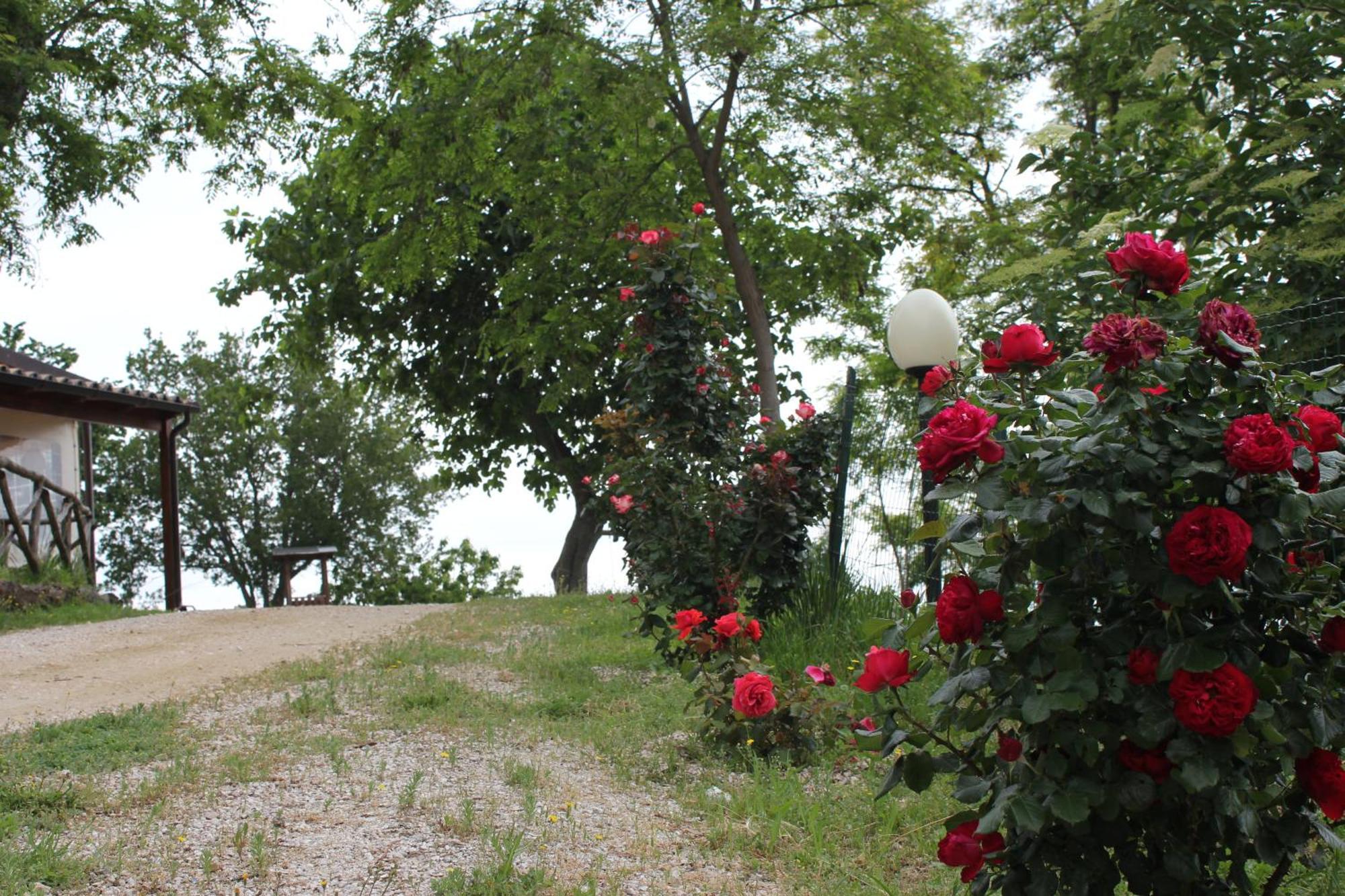 Agriturismo La Valle Del Vento Urbino Luaran gambar